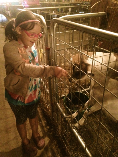 Feeding the goats...just a tip of the agricultural iceberg